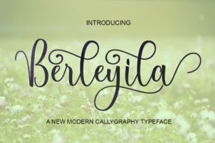 Berleyila: A Modern Calligraphy Font