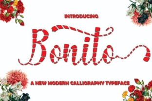 Bonito: A Playful Script Font