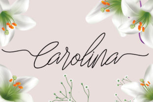 Carolina: A Fine Monoline Script Font for Your Brand Identity