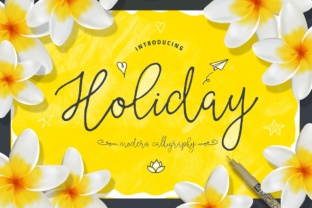 Holiday Font Review: A Brand Designer's Take on This Script Amp Typeface