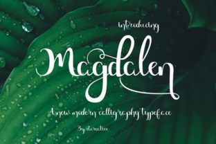 Magdalen: A Modern Calligraphy Font for Scroll-Stopping Campaigns