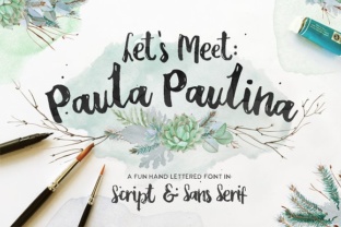 Paula Paulina: A Script-Sans Font Duo for Campaign Clarity