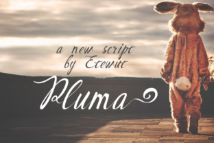 Pluma: A Handwritten Font for Creative Web Design