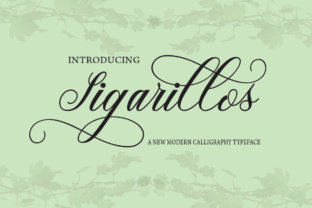 Sigarillos: A Calligraphy Script That Carries Campaign Visuals
