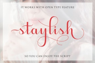Staylish Upright Font: A Small Business Brand Upgrade Story