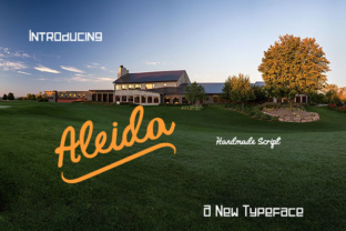 Testing Aleida: A Handmade Script Font for Real Branding Projects